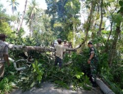 Babinsa Bulukamase Koramil 05/Sinjai Selatan Kodim 1424/Sinjai Gelar Karya Bakti Pembersihan dan Penebangan Pohon di Pinggir Jalan