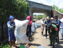 Sinergitas Babinsa Koramil-05/Mallusetasi Dan Bulog Serap Gabah Petani