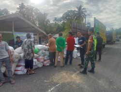 Babinsa Koramil 08/Alafan Dampingi Kegiatan Penyerapan Gabah Kering Milik Petani Oleh Perum Bulog Cabang Meulaboh
