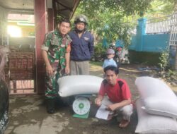 Babinsa Kelurahan Lamatti Rilau Koramil 1424-01/Sinjai Utara Kodim 1424/Sinjai Dampingi Tim Bulog Serap Gabah Petani