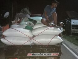 Babinsa Koramil 1424-04/Sinjai Timur Kodim 1424/Sinjai Dampingi Penyerapan Gabah Milik Petani