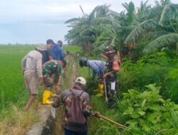 Penuhi Kebutuhan Air Petani, Babinsa Koramil-02 Kodim 1404/Pinrang Bersama Warga Bersihkan Saluran Irigasi