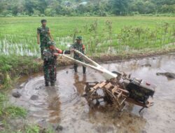Dengan Semangat, Personil Babinsa Koramil-01/Ujung Bantu Petani Bajak Sawah