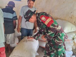 Kawal Hingga Ke Gudang Bulog, Babinsa Pastika Harga Gabah Petani Tetap 6.500