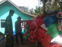 Babinsa Koramil 1424-05/Sinjai Selatan Dampingi Petani Mengecek Gabah Sebelum Diserap Oleh Tim Bulog