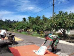 Sambangi Warga Binaan, Babinsa Alafan Bantu Menjemur Padi