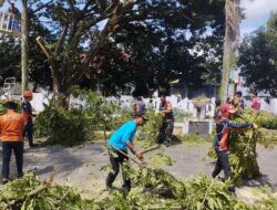 Babinsa Koramil 1424-01/Sinjai Utara Kodim 1424/Sinjai Bersama BNPB dan Warga Laksanakan Kerja Bakti Pemangkasan Ranting Pohon
