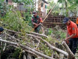 Antisipasi Korban Jiwa Babinsa Koramil-07/Tanete Rilau Bersama Warga Gotong Royong Bersihkan Ranting Dan Pohon