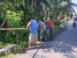 Monitoring Wilayah Binaan, Babinsa Koramil 02/Simteng Bantu Petani Memanen Buah Pinang