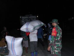Wow… Sampai Larut Malam Babinsa Kodim 1404/Pinrang Dampingi Bulog Serap Gabah Petani