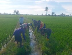 Penuhi Kebutuhan Air Petani, Babinsa Kodim 1404/Pinrang bersama Warga Membersihkan Saluran Irigasi