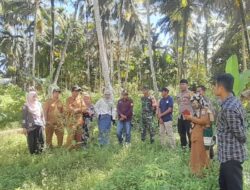 Babinsa Koramil 03/Teupah Selatan Bersama Muspika Tinjau Lokasi Lahan Kebun Percontohan