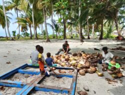 Babinsa Koramil 08/Ayau Bantu Warga Olah Kelapa Menjadi Kopra