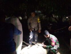 TNI-Polri Di Kab. Pinrang Bahu-membahu Yakinkan Gabah Petani Pinrang Terserap Sesuai HPP Rp 6.500′- Per Kilo Gram