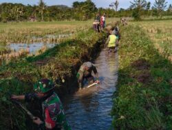 Penuhi Kebutuhan Air Petani, Babinsa Kodim 1404/Pinrang Bersama Warga Bersihkan Saluran Air
