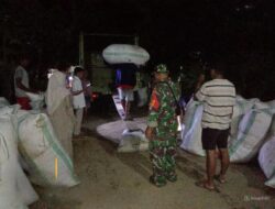 Peran Aktif Babinsa Koramil 1405-08/Tanete Riaja Dalam Serapan Gabah Petani