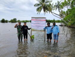 Babinsa Koramil 06/Teluk Dalam Bersama Masyarakat Dan Yayasan Konservasi Pesisir Pantau Pertumbuhan Manggrove