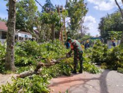 Babinsa Koramil 1424-01/Sinjai Utara Kodim 1424/Sinjai Gelar Karya Bakti Pembersihan Ranting Pohon Di Tepi Jalan