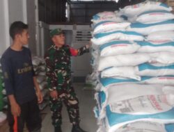 Dukung Ketahanan Pangan, Babinsa Koramil 04/Salang Cek Ketersediaan Pupuk