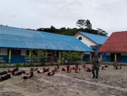 Tanamkan Disiplin Sejak Dini, Babinsa Koramil 1805-01/Waisai Berikan Pelatihan PBB Kepada Pelajar SMPN 19 Raja Ampat