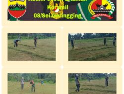 Babinsa Koramil 08/Sungai Geringging Bantu Petani Membersihkan Lahan Untuk di Tanami Jagung