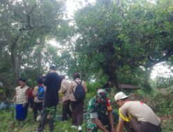 Peduli Lingkungan dan Mitigasi Bencana, Babinsa Koramil 04/Sinjai Timur Kodim 1424/Sinjai Bersama Warga Tanam Pohon Keras