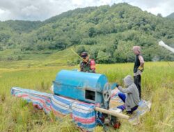 Babinsa Bontosalama, Koramil 02/Sinjai Barat Kodim 1424/Sinjai Dampingi Pengolahan Padi Milik Petani