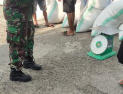 Yakinkan Lancar, Babinsa Kodim 1404/Pinrang Dampingi Bulog Serap Gabah Petani