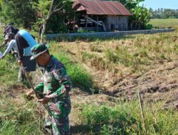 Persiapan turun Sawah, Babinsa Koramil Kodim 1404/Pinrang Bersihkan Saluran irigasi bersama Petani