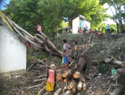 Babinsa Pos Ramil 1424-04/Pulau IX Kodim 1424/Sinjai Bersama Warga Bersihkan Pohon Tumbang di SD 20 Kodingare