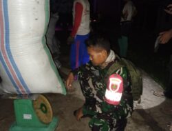 Gass Poll, Babinsa Kodim 1404/Pinrang Aktif Dampingi Bulog Serap Gabah Petani