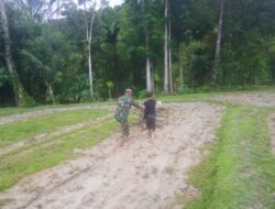 Gunakan Mesin Traktor, Babinsa Teupah Barat Bantu Petani Bajak Sawah