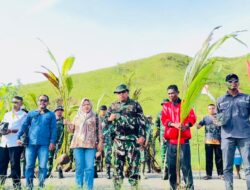 Dandim 1502/Masohi bersama masyarakat Kec. Seram Utara Laksanakan Penanaman Sejuta Pohon