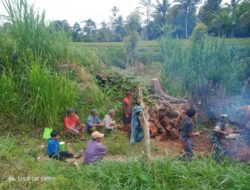 Babinsa Koramil 1424-06/Sinjai Borong Kodim 1424/Sinjai Bersama Warga Gotong Royong Bersihkan Pohon Tumbang