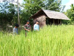 Penguatan Pangan Bersama Warga Binaan
