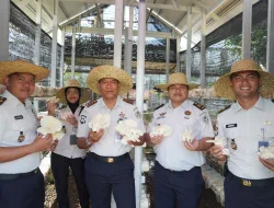 Lapas Banjarbaru Panen 1,5 Kg Jamur Tiram, Wujud Pembinaan Kemandirian Warga Binaan