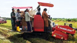 Dandim Merauke Bersama Bupati Laksanakan Panen Raya, Wujud Nyata Dukung Swasembada Pangan