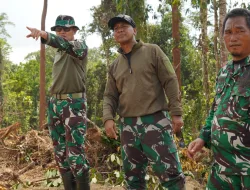 Danrem 181/PVT Tinjau Langsung Lokasi Cetak Sawah Di Sorong Selatan