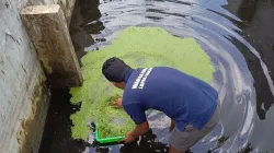 Manfaatkan Azolla, Lapas Banjarbaru Kembangkan Pertanian dan Peternakan Berkelanjutan