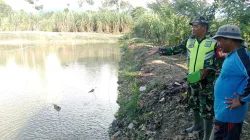Terjalin keakraban Hubungan Yang baik kepada masyarakat Desa Binaan Babinsa di kolam ikan