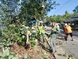 Jalin Kekompakan, Babinsa Koramil 03/Delima Gotong Royong Bersihkan Dahan Pohon dan Bahu Jalan Bersama Warga