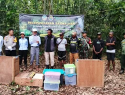 PERAN AKTIF BABINSA MUTING, DUKUNG PELEPASLIARAN SATWA UNTUK KESEIMBANGAN DAN KELESTARIAN ALAM