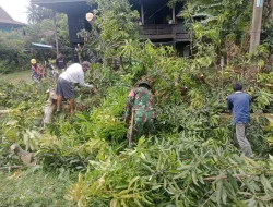 Babinsa Koramil 1404-06/Duampanua Bersama Warga Kerja Bakti Bersihkan Jalan dan Pangkas Ranting Pohon