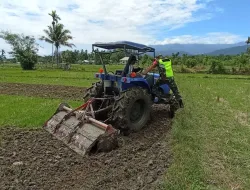 Tetap semangat Babinsa Koramil 03/Senagan Timur Bantu Petani Bajak Sawah Di desa Binaan