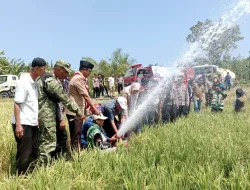 Peduli Petani, Plt Danramil 1405-04 Dampingi Babinsa Bantu Penyiraman Tanaman Padi Terdampak Kemarau