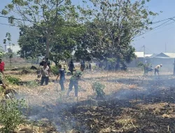 Sinergi TNI-Polri dan Masyarakat Padamkan Kebakaran di Kebun Jagung