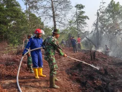 Karhutla di Juata Kerikil, Kodim 0907/Tarakan Bersama Tim Gabungan Bergerak Cepat Padamkan Api