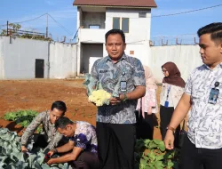 Panen 7 Kilogram Brokoli, Kebun SAE Rutan Pelaihari Terus Hasilkan Pangan Produktif