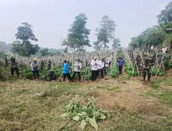Tanam Sejuta Pohon Jelang HUT ke-81 TNI, Kodim 0607 Sukabumi Gandeng Warga Cegah Banjir dan Longsor