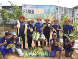 Lapas Banjarbaru Panen Raya Melon dan Jagung, Perkuat Dukungan Ketahanan Pangan